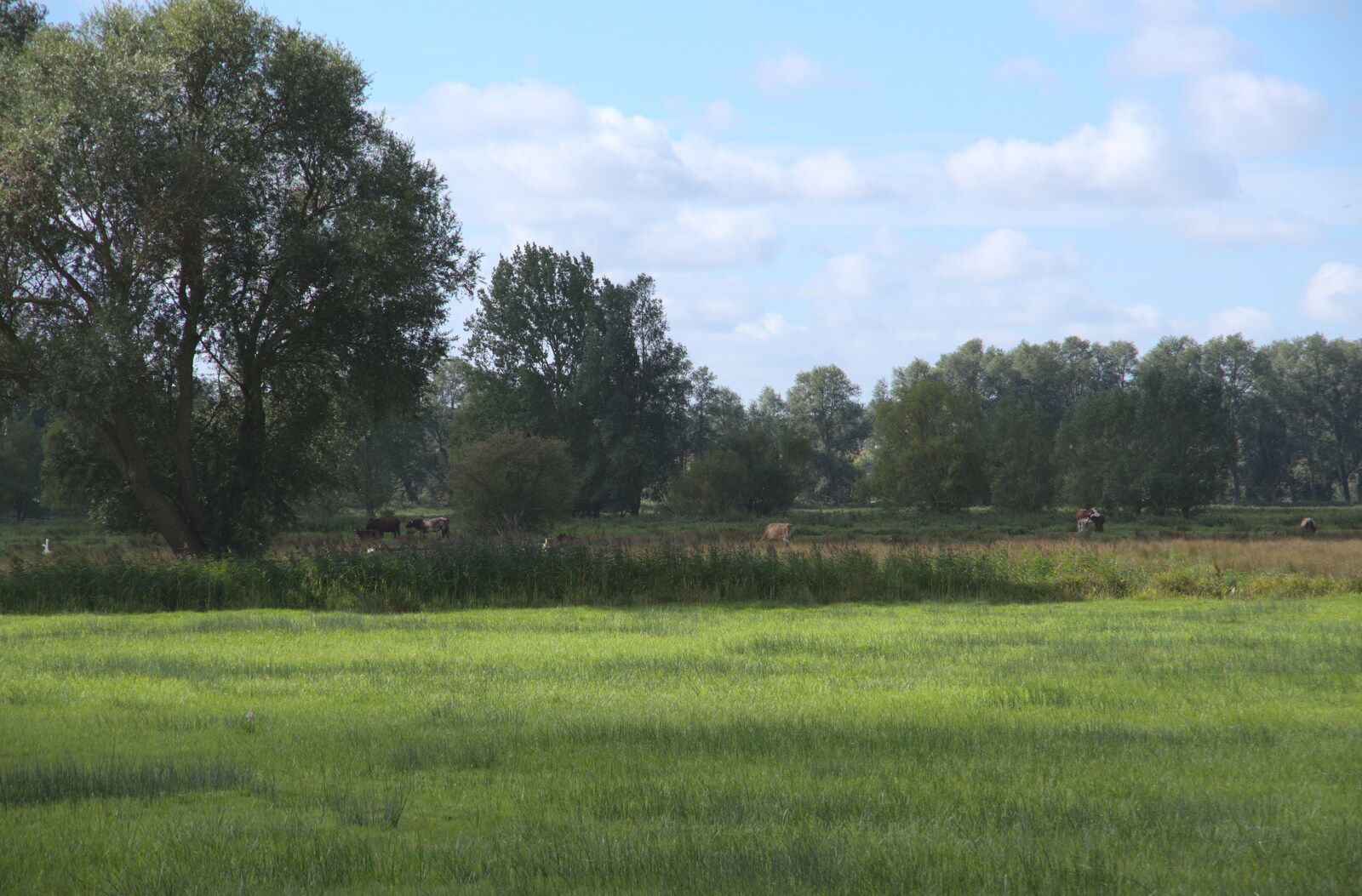 Camping at Three Rivers, Geldeston, Norfolk - 5th September 2020: A view over the meadows