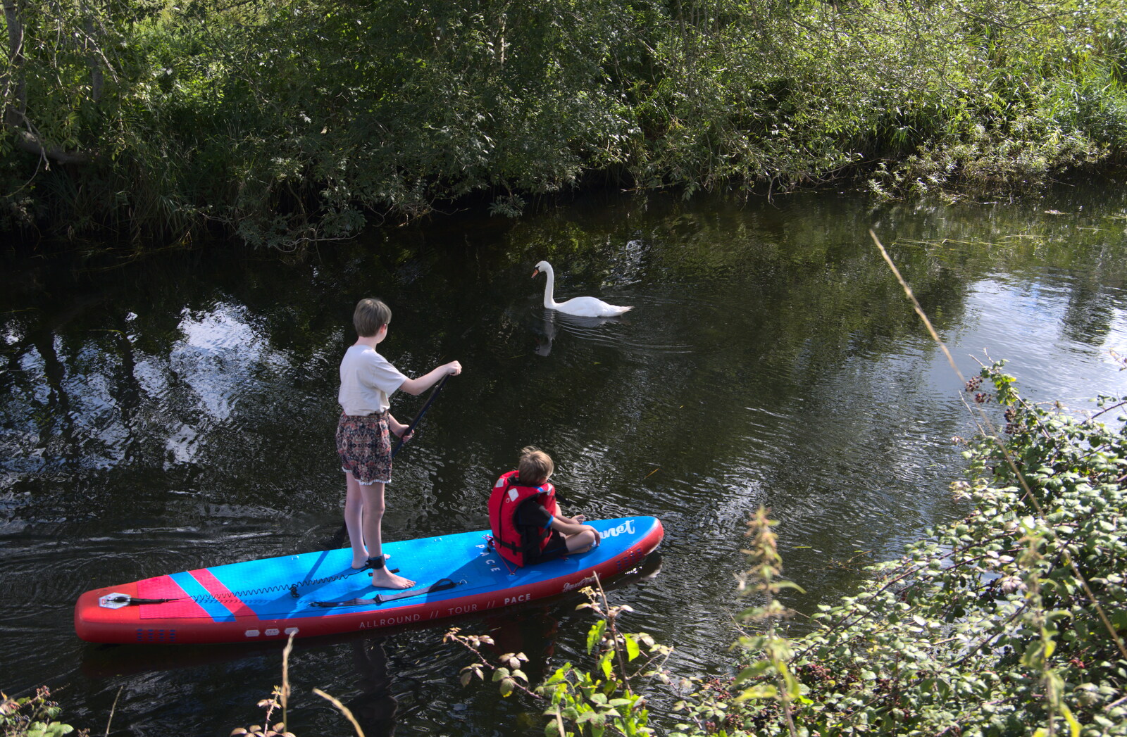 Camping at Three Rivers, Geldeston, Norfolk - 5th September 2020: Lydia gingerly navigates past a swan