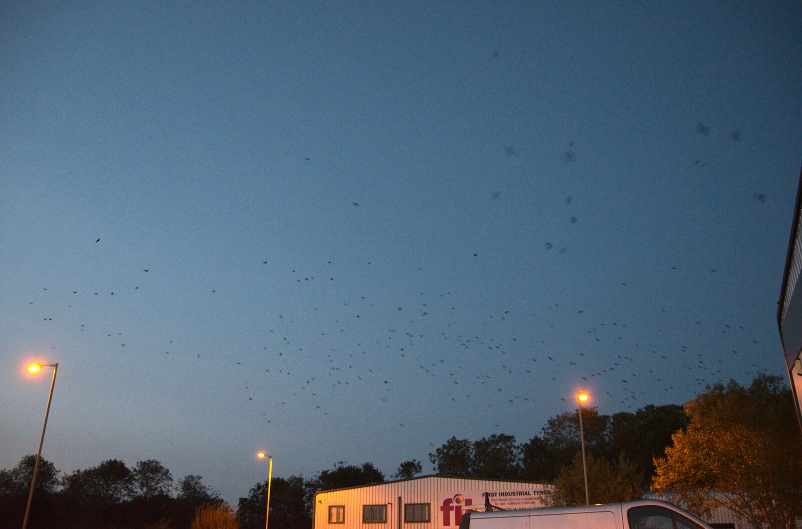 There's a swarm of crows flying over Station 119 from Cycling Eye Airfield and Station 119, Eye, Suffolk - 9th September 2020