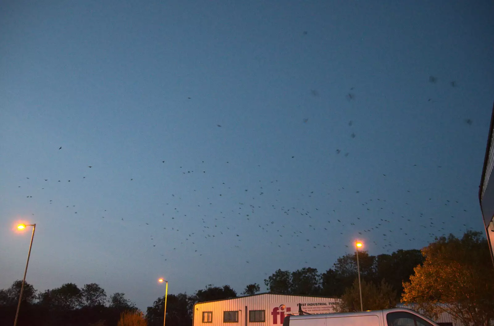 There's a swarm of crows flying over Station 119, from Cycling Eye Airfield and Station 119, Eye, Suffolk - 9th September 2020