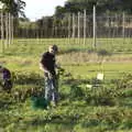 Pulling up a long string of hops, Star Wing's Hops and Hogs Festival, Redgrave, Suffolk - 12th September 2020