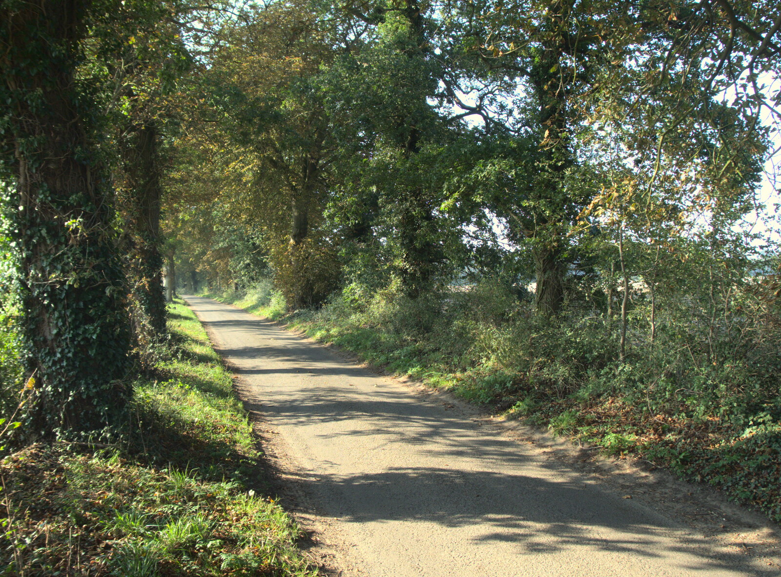 The road to Thornham from The GSB Band Hut and a Miscellany - Gislingham and Brome, Suffolk - 19th September 2020