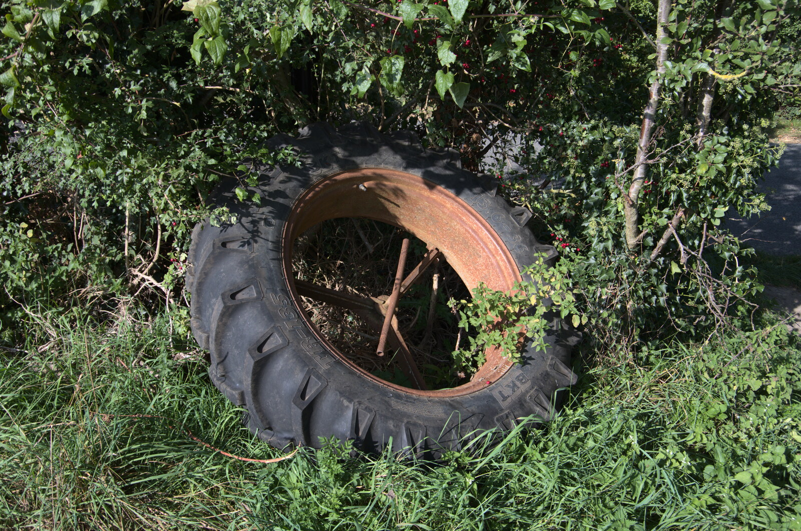 A tractor wheel in a hedge from The GSB Band Hut and a Miscellany - Gislingham and Brome, Suffolk - 19th September 2020