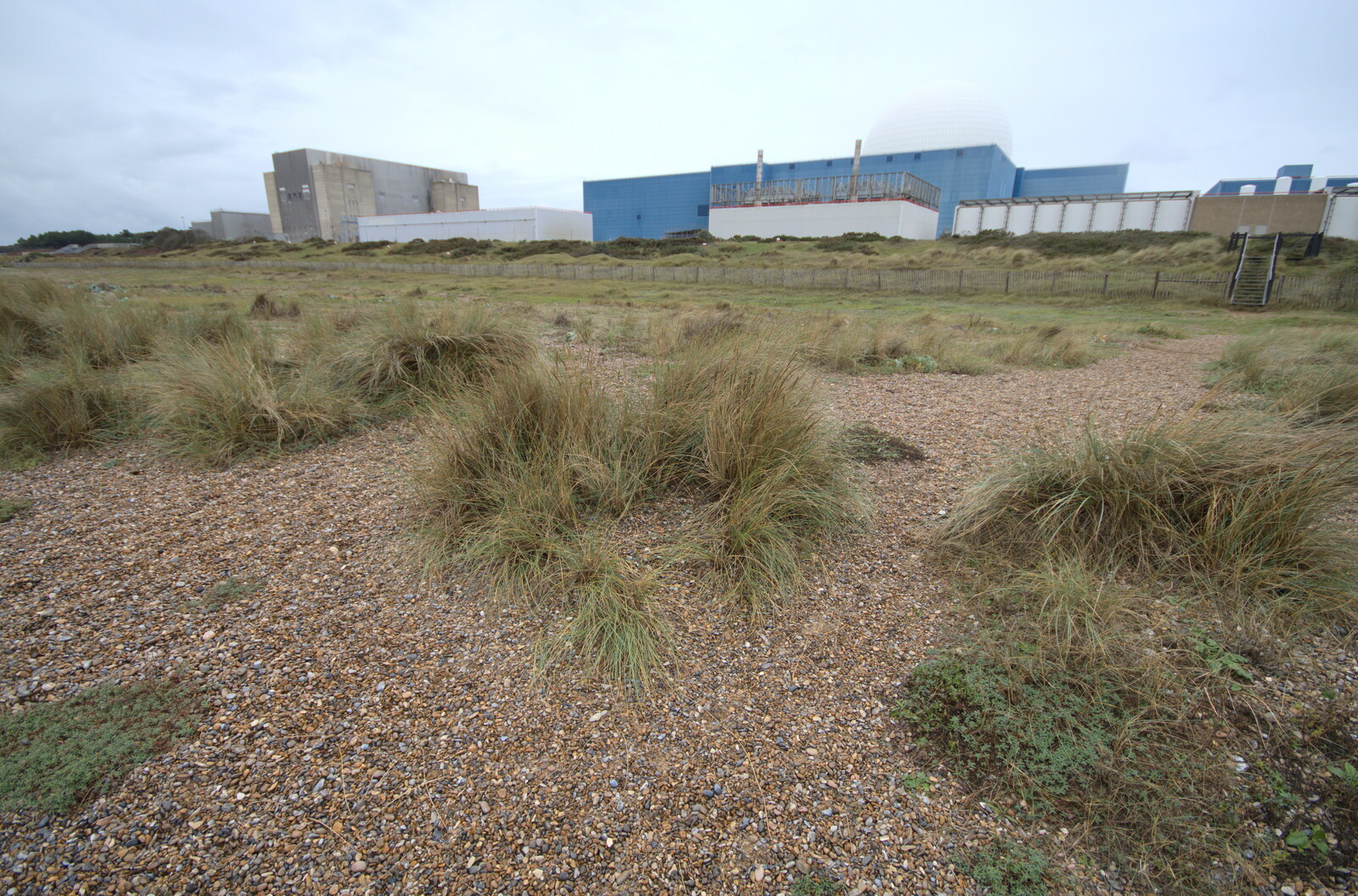 Sea grass and nuclear power stations from Sizewell Beach and the Lion Pub, Sizewell and Theberton, Suffolk - 4th October 2020
