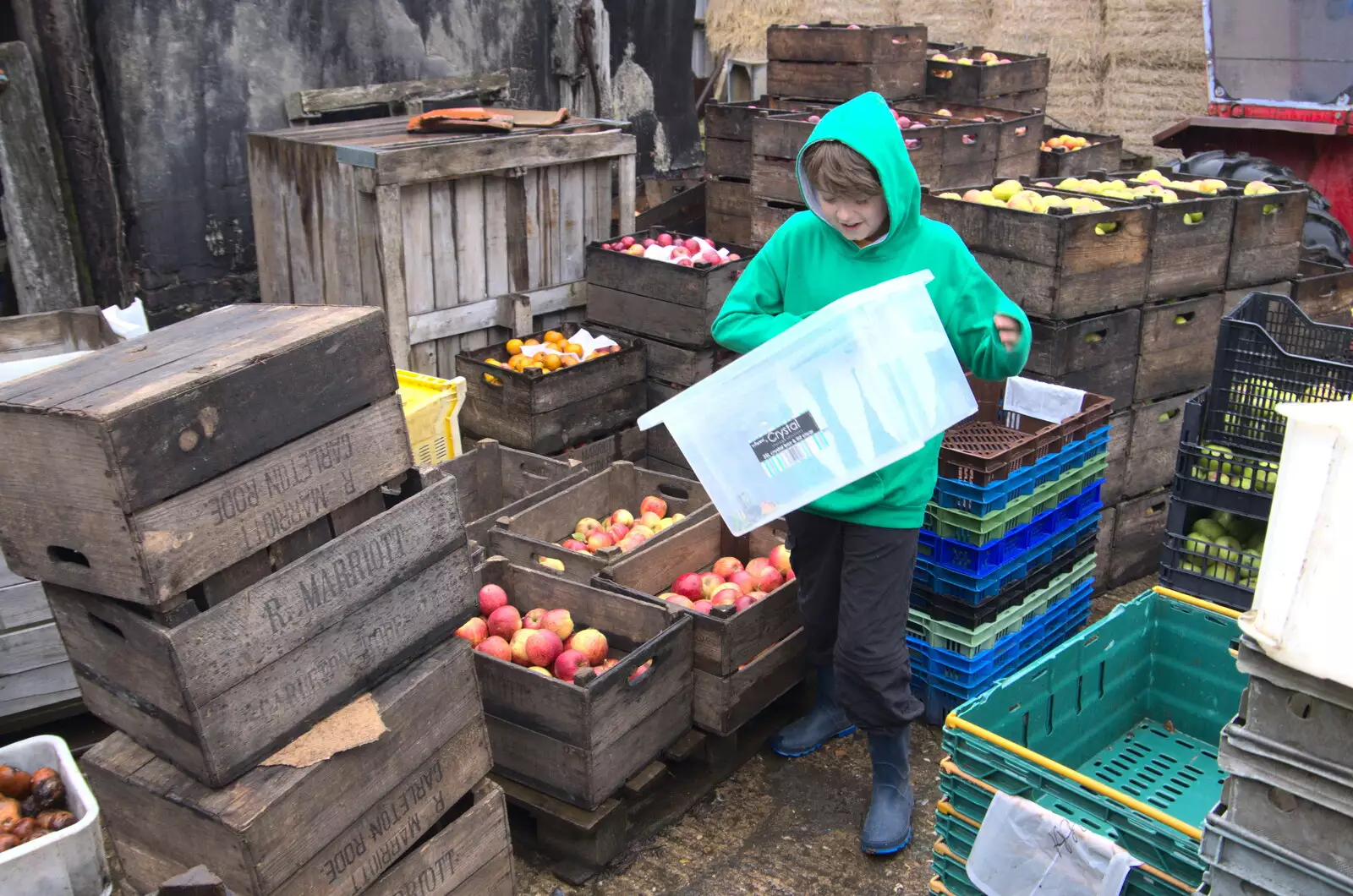 Fred carts boxes around, from Trevor's Last Apple Pressing, Carleton Rode and Shelfanger, Norfolk - 18th October 2020