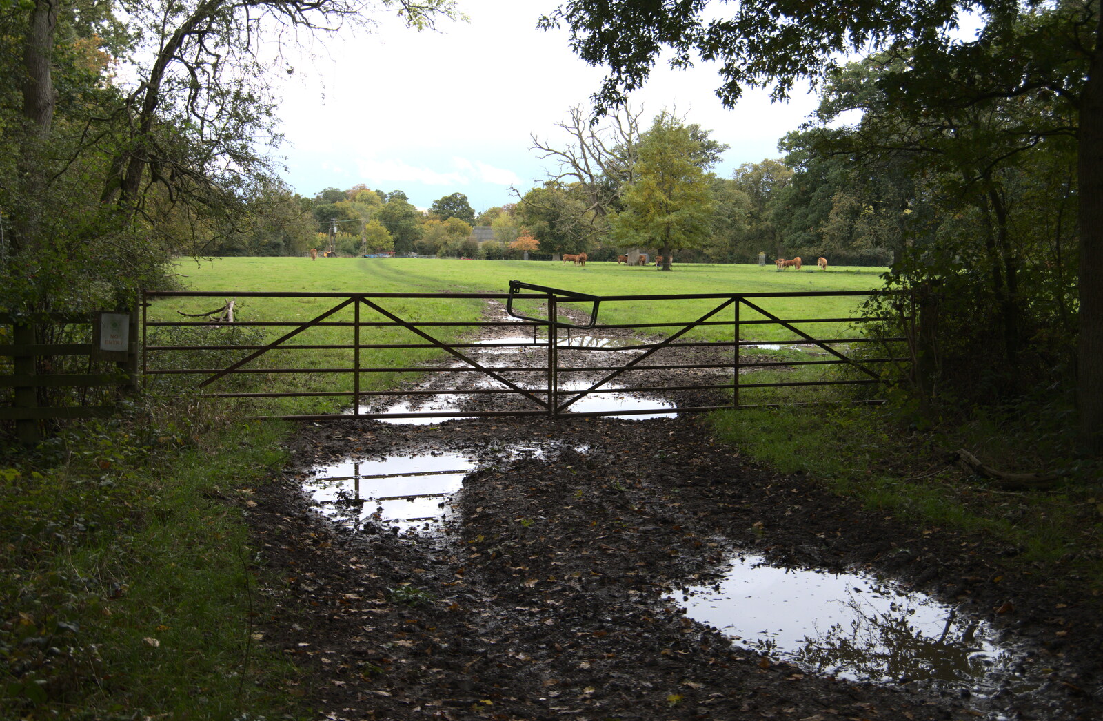 A double gate into a field from A Walk Around Thornham Estate, Thornham Magna, Suffolk - 18th October 2020