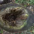 A hollowed-out tree trunk, A Walk Around Thornham Estate, Thornham Magna, Suffolk - 18th October 2020