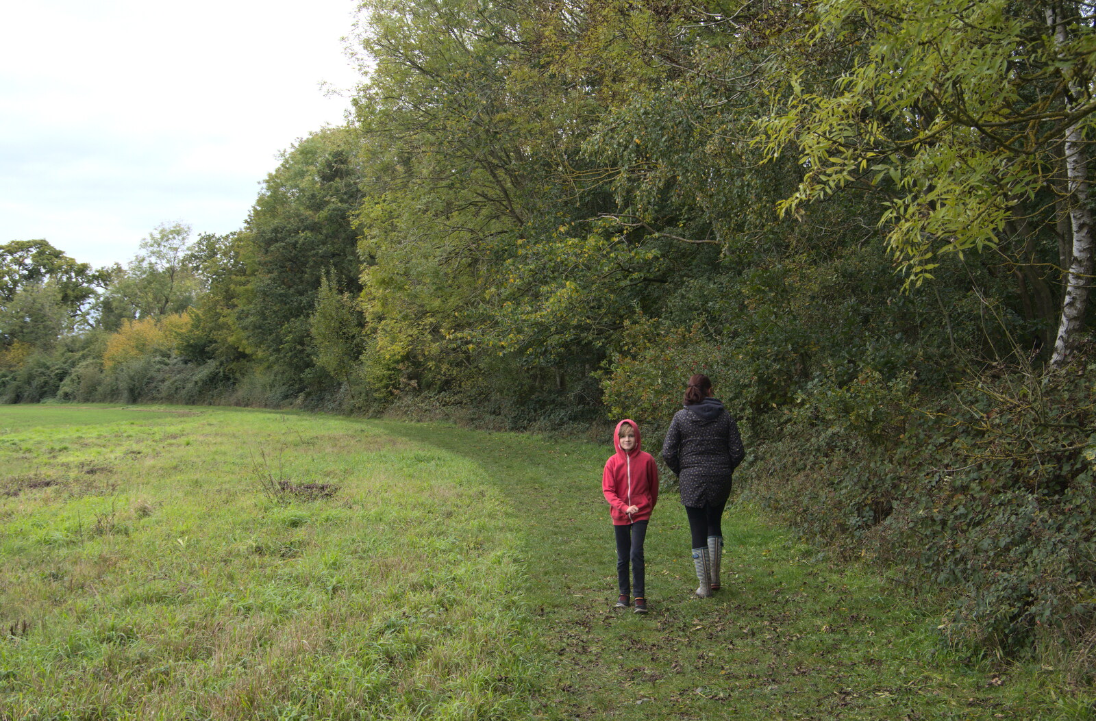 We walk around a field margin from A Walk Around Thornham Estate, Thornham Magna, Suffolk - 18th October 2020