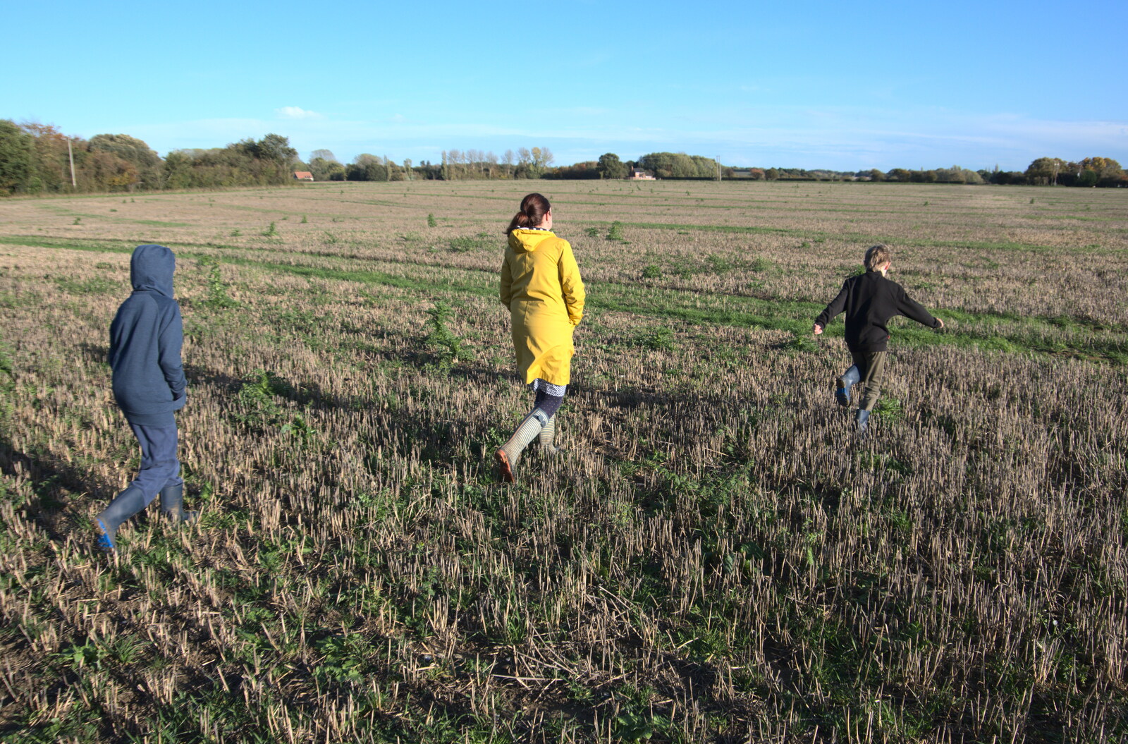 We walk across the stubble of the 100-acre field from A Walk Around the Avenue, Brome, Suffolk - 25th October 2020