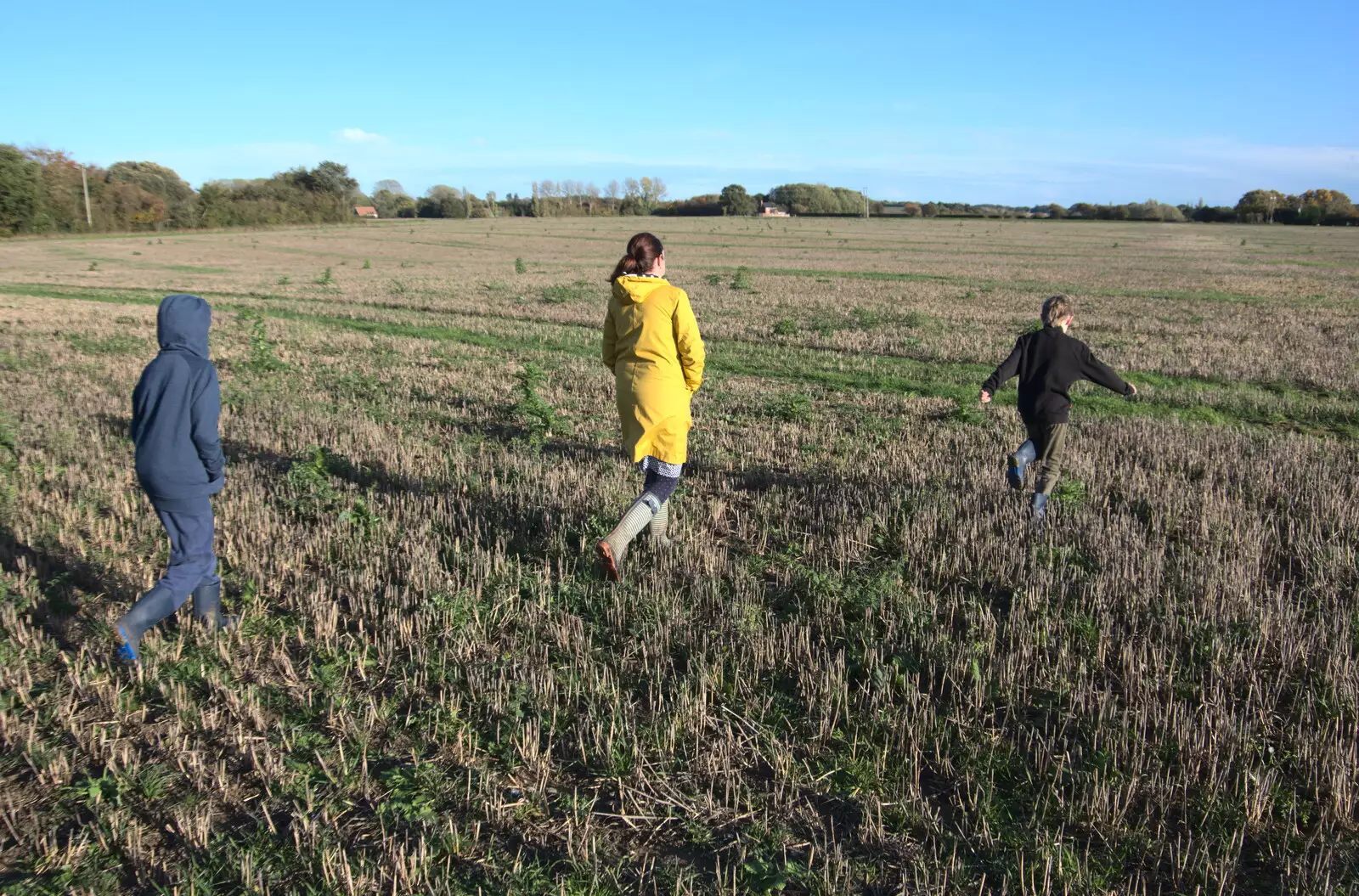 We walk across the stubble of the 100-acre field, from A Walk Around the Avenue, Brome, Suffolk - 25th October 2020