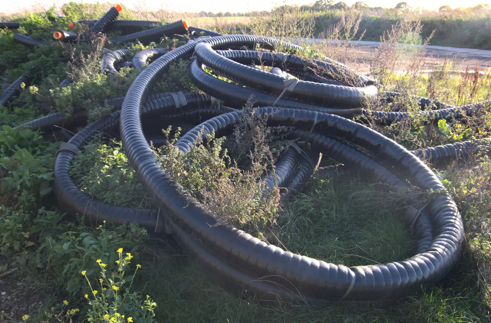 There's a big pile of coiled pipe on West's farm, from A Walk Around the Avenue, Brome, Suffolk - 25th October 2020