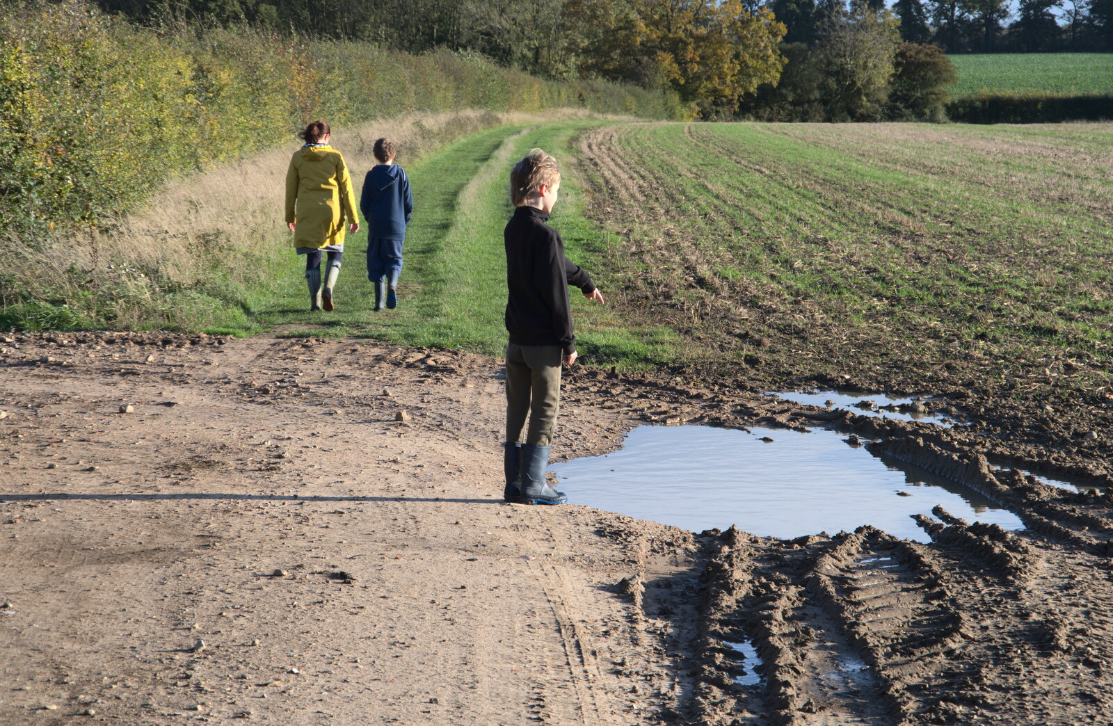 Harry points at a puddle and wonders how deep it is from A Walk Around the Avenue, Brome, Suffolk - 25th October 2020