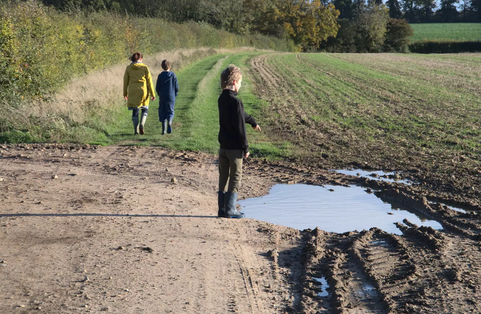 Harry points at a puddle and wonders how deep it is, from A Walk Around the Avenue, Brome, Suffolk - 25th October 2020