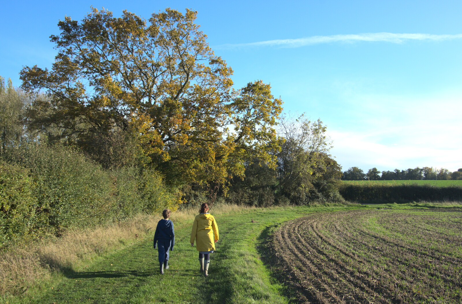 Fred and Isobel walk on the field's edge from A Walk Around the Avenue, Brome, Suffolk - 25th October 2020