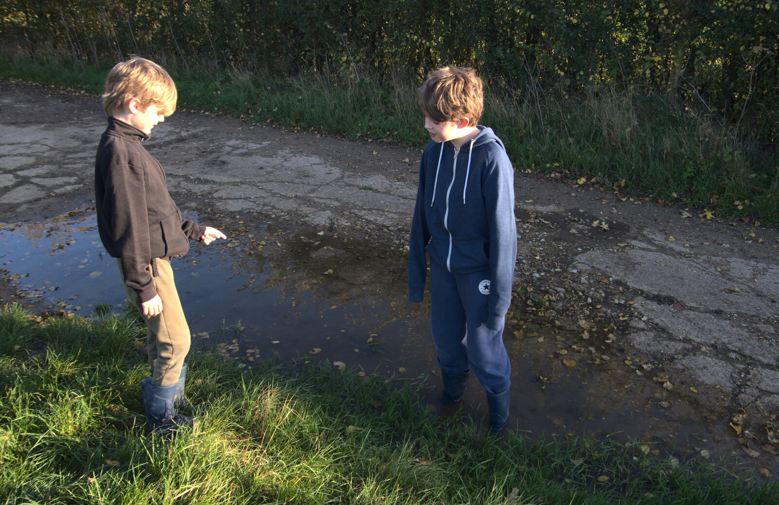 Fred stands in a puddle as Harry points from A Walk Around the Avenue, Brome, Suffolk - 25th October 2020