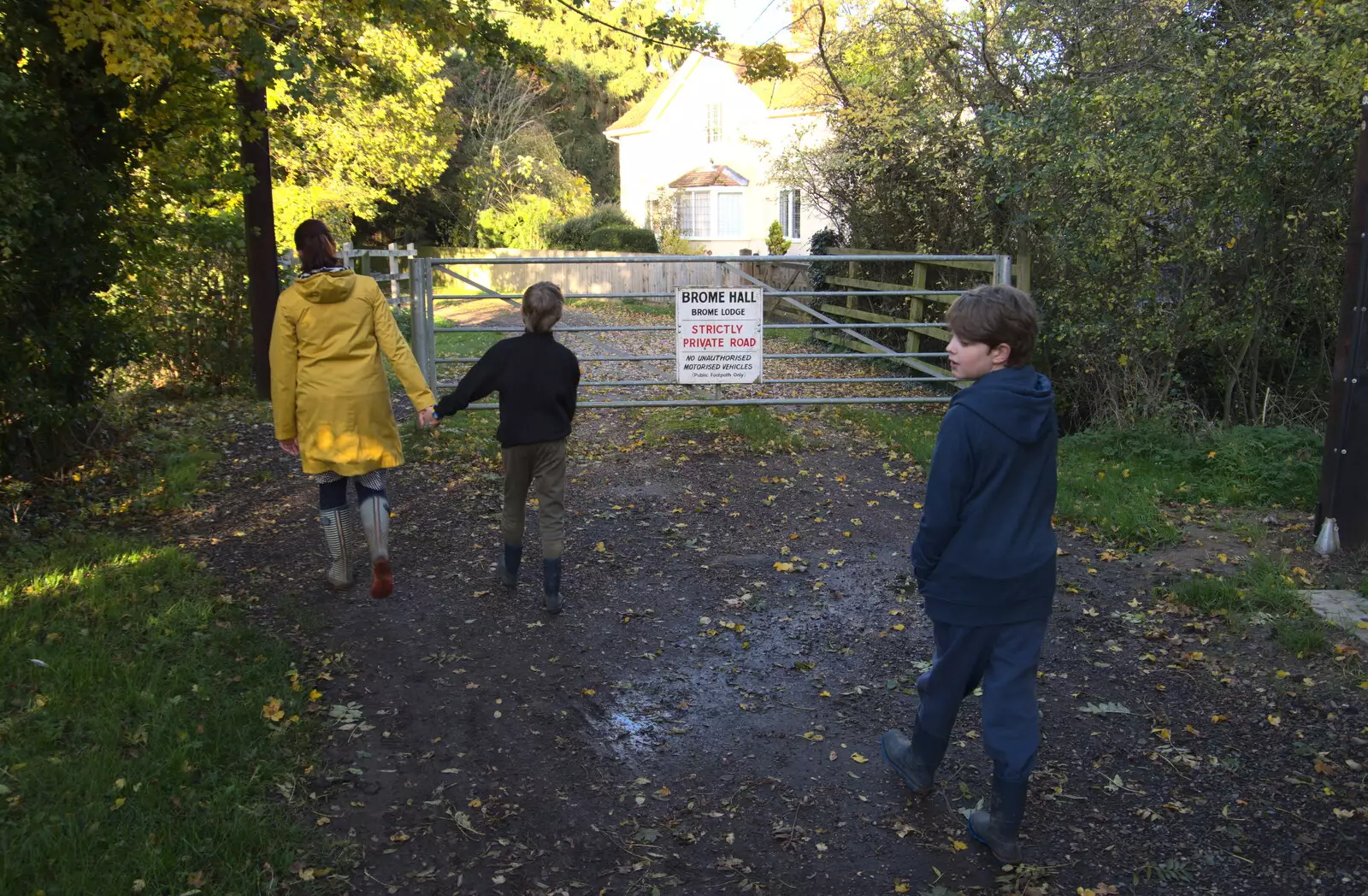 We reach the gate on the Avenue, from A Walk Around the Avenue, Brome, Suffolk - 25th October 2020