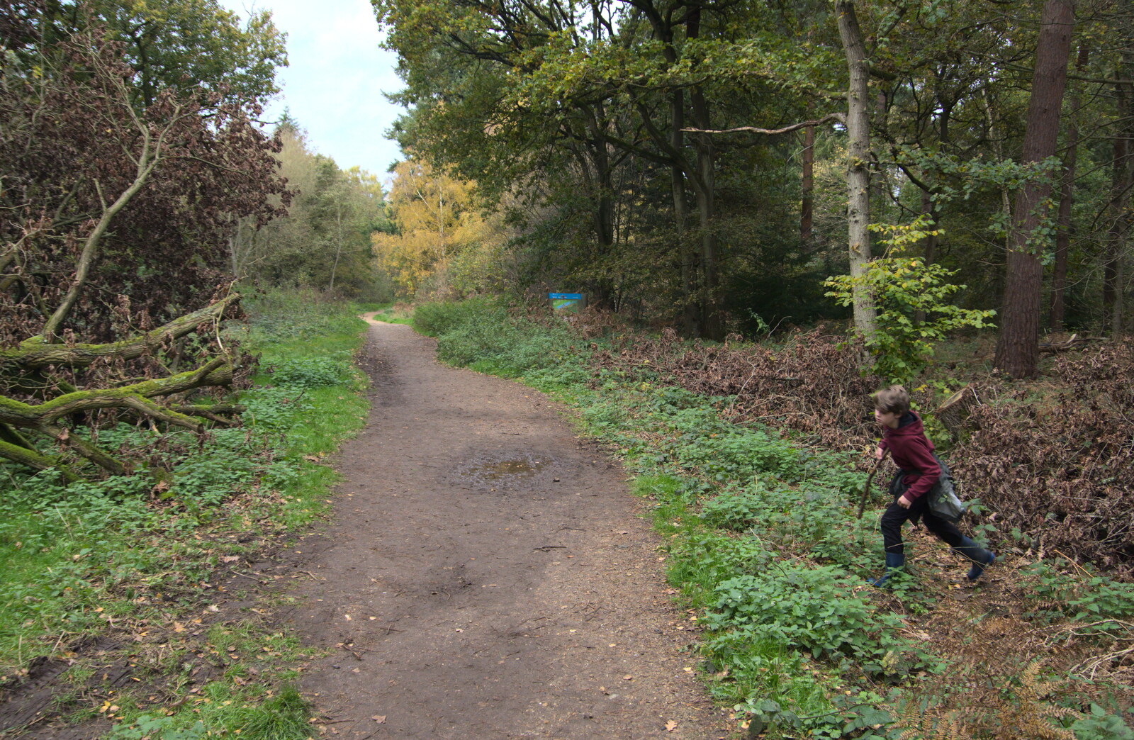 Fred runs around after we pile out of the car from A Trip to Lynford Arboretum, Mundford, Norfolk - 30th October 2020