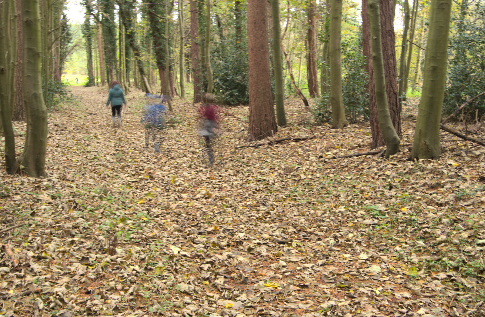 The boys are a blur in the woods from A Trip to Lynford Arboretum, Mundford, Norfolk - 30th October 2020