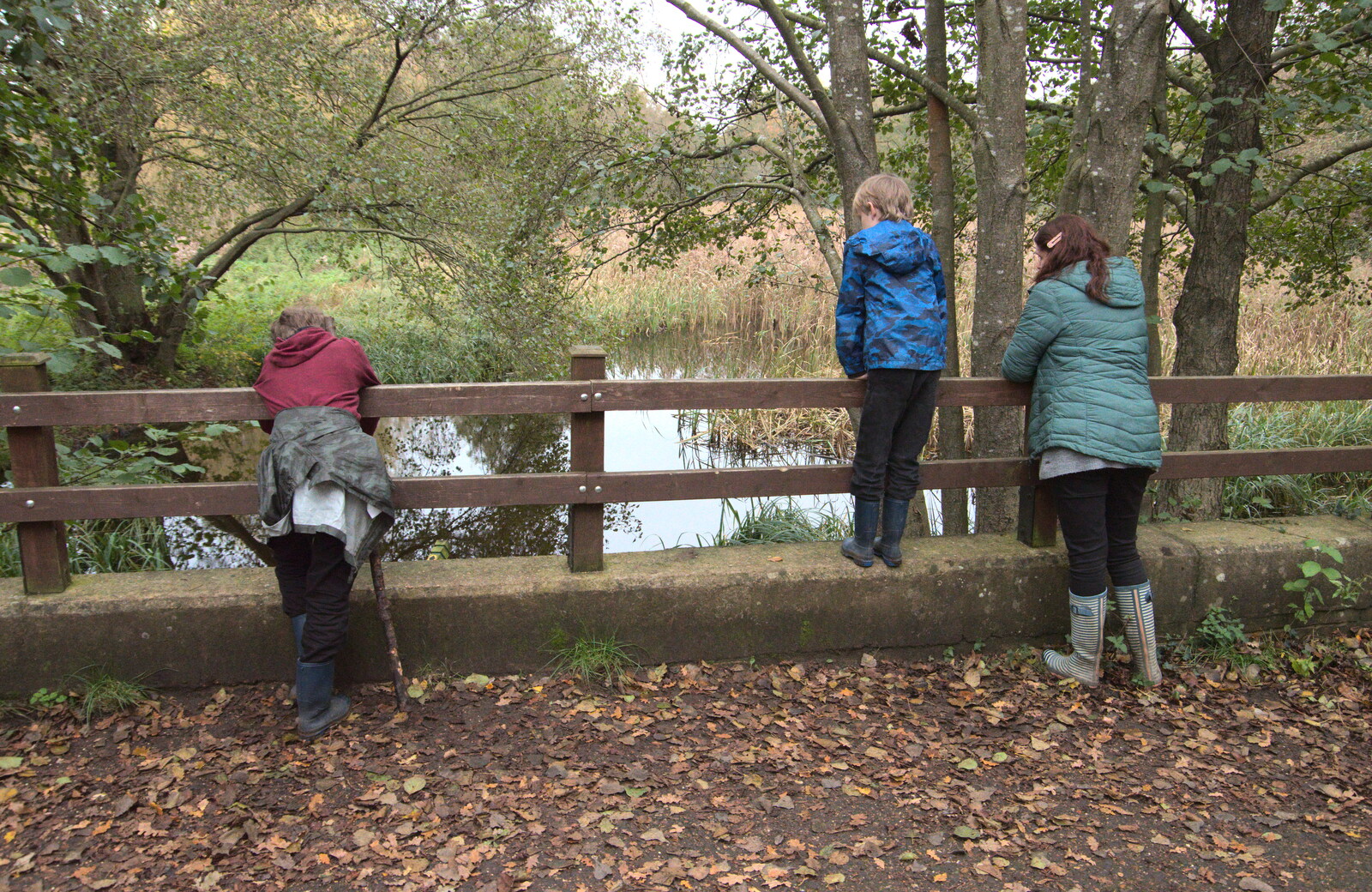The gang hang on a fence and look over the bridge from A Trip to Lynford Arboretum, Mundford, Norfolk - 30th October 2020