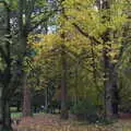 More autumnal foliage, A Trip to Lynford Arboretum, Mundford, Norfolk - 30th October 2020