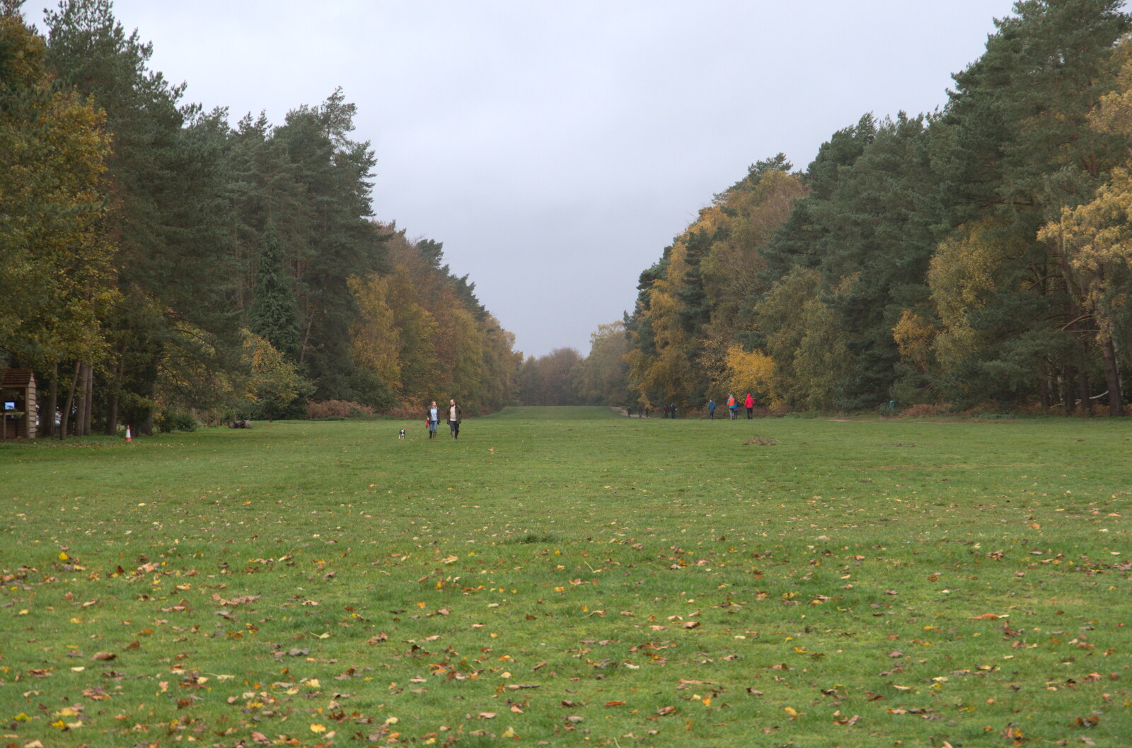 A broad avenue stretches up from the house from A Trip to Sandringham Estate, Norfolk - 31st October 2020