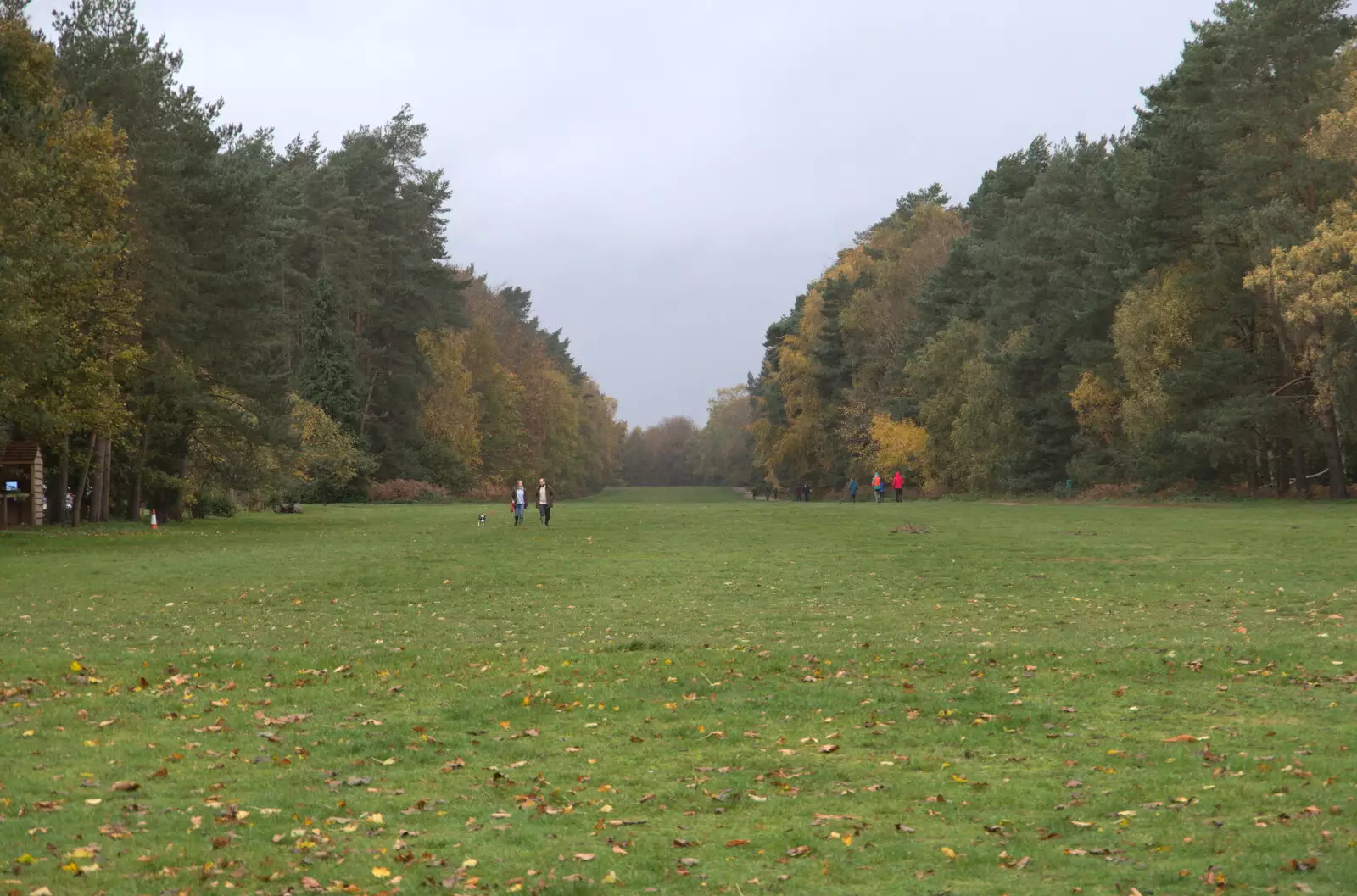 A broad avenue stretches up from the house, from A Trip to Sandringham Estate, Norfolk - 31st October 2020