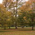 Nice autumn trees, A Trip to Sandringham Estate, Norfolk - 31st October 2020