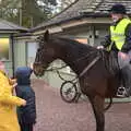 Harry and Fred say hi to the horse, A Trip to Sandringham Estate, Norfolk - 31st October 2020