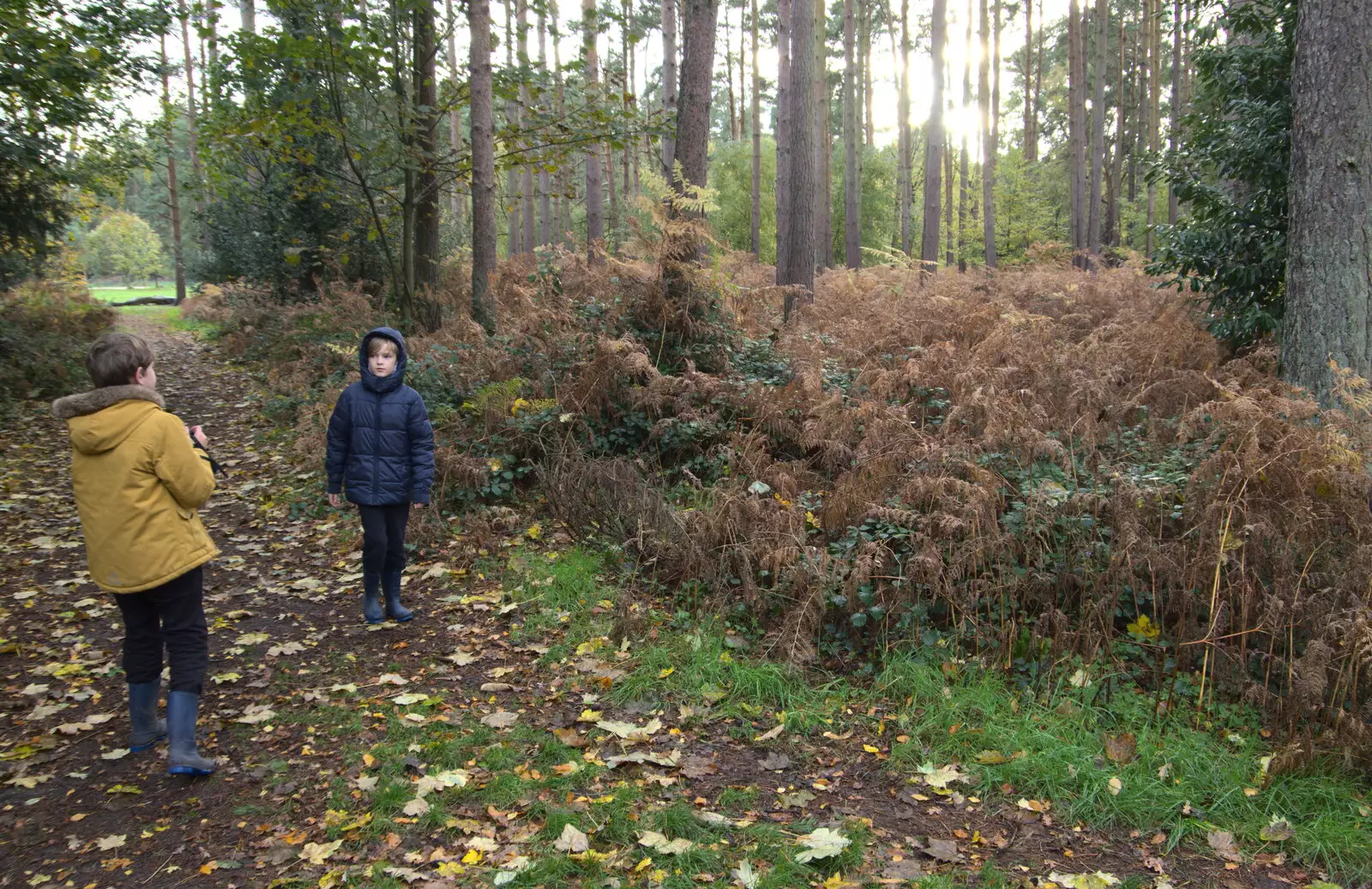 The boys in the forest, from A Trip to Sandringham Estate, Norfolk - 31st October 2020