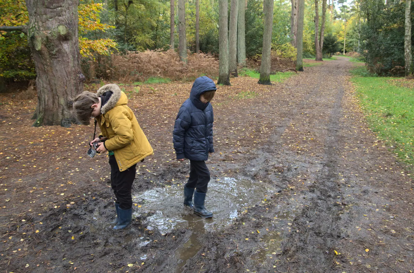 Fred and Harry splash about in puddles, from A Trip to Sandringham Estate, Norfolk - 31st October 2020