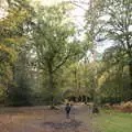 Off into the woods, A Trip to Sandringham Estate, Norfolk - 31st October 2020