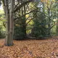 A carpet of beach leaves, A Trip to Sandringham Estate, Norfolk - 31st October 2020