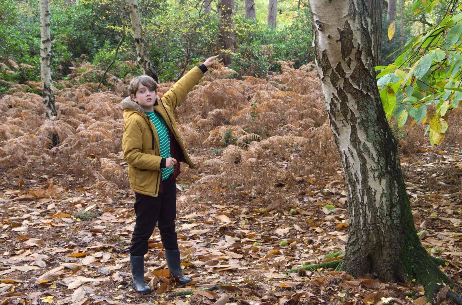 Fred points something out, from A Trip to Sandringham Estate, Norfolk - 31st October 2020