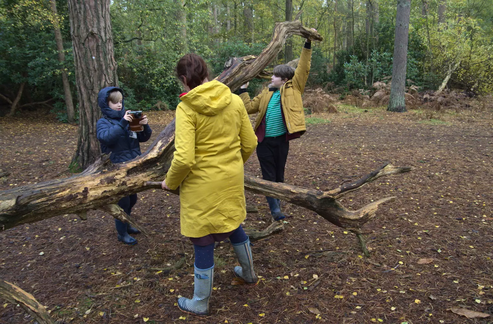 Harry takes a tree photo, from A Trip to Sandringham Estate, Norfolk - 31st October 2020