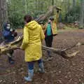 Harry takes a tree photo, A Trip to Sandringham Estate, Norfolk - 31st October 2020