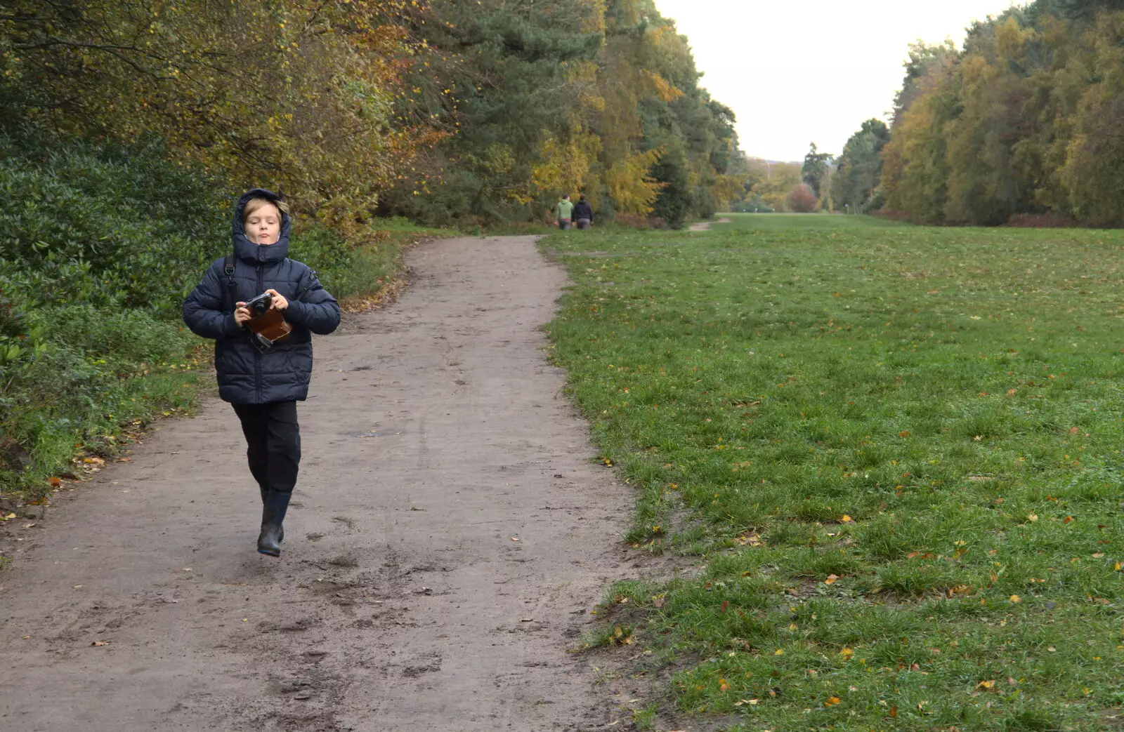 Harry roams around, from A Trip to Sandringham Estate, Norfolk - 31st October 2020