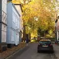 Autumn trees on Church Street, Isobel's Birthday, Woodbridge, Suffolk - 2nd November 2020