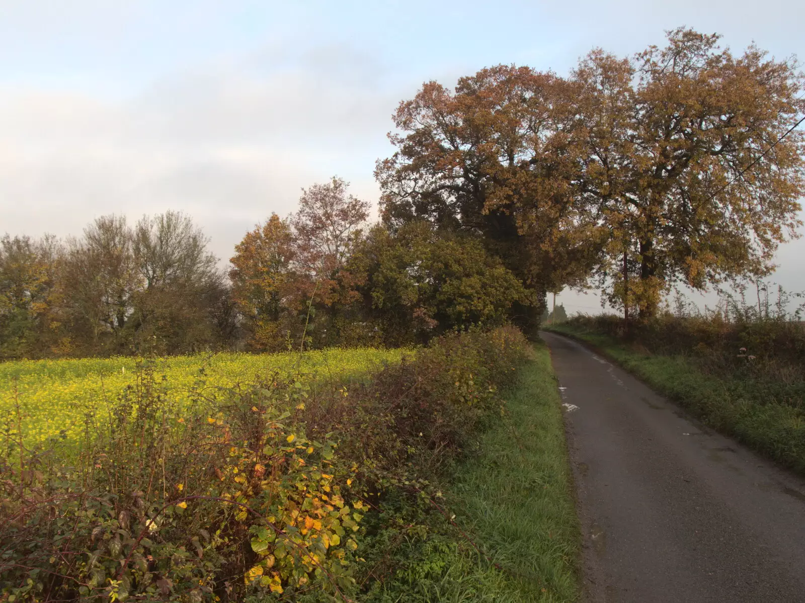 The lane between Thrandeston and Mellis, from Pre-Lockdown in Station 119, Eye, Suffolk - 4th November 2020