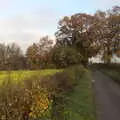 The lane between Thrandeston and Mellis, Pre-Lockdown in Station 119, Eye, Suffolk - 4th November 2020