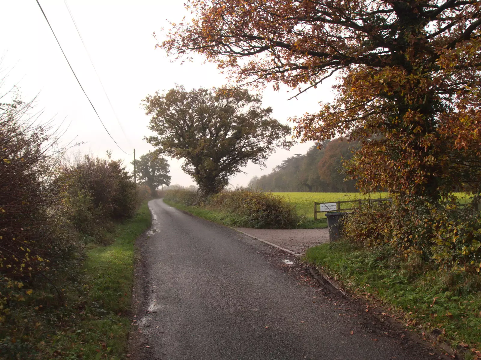 An autumnal road near Ostler's Barn, from Pre-Lockdown in Station 119, Eye, Suffolk - 4th November 2020