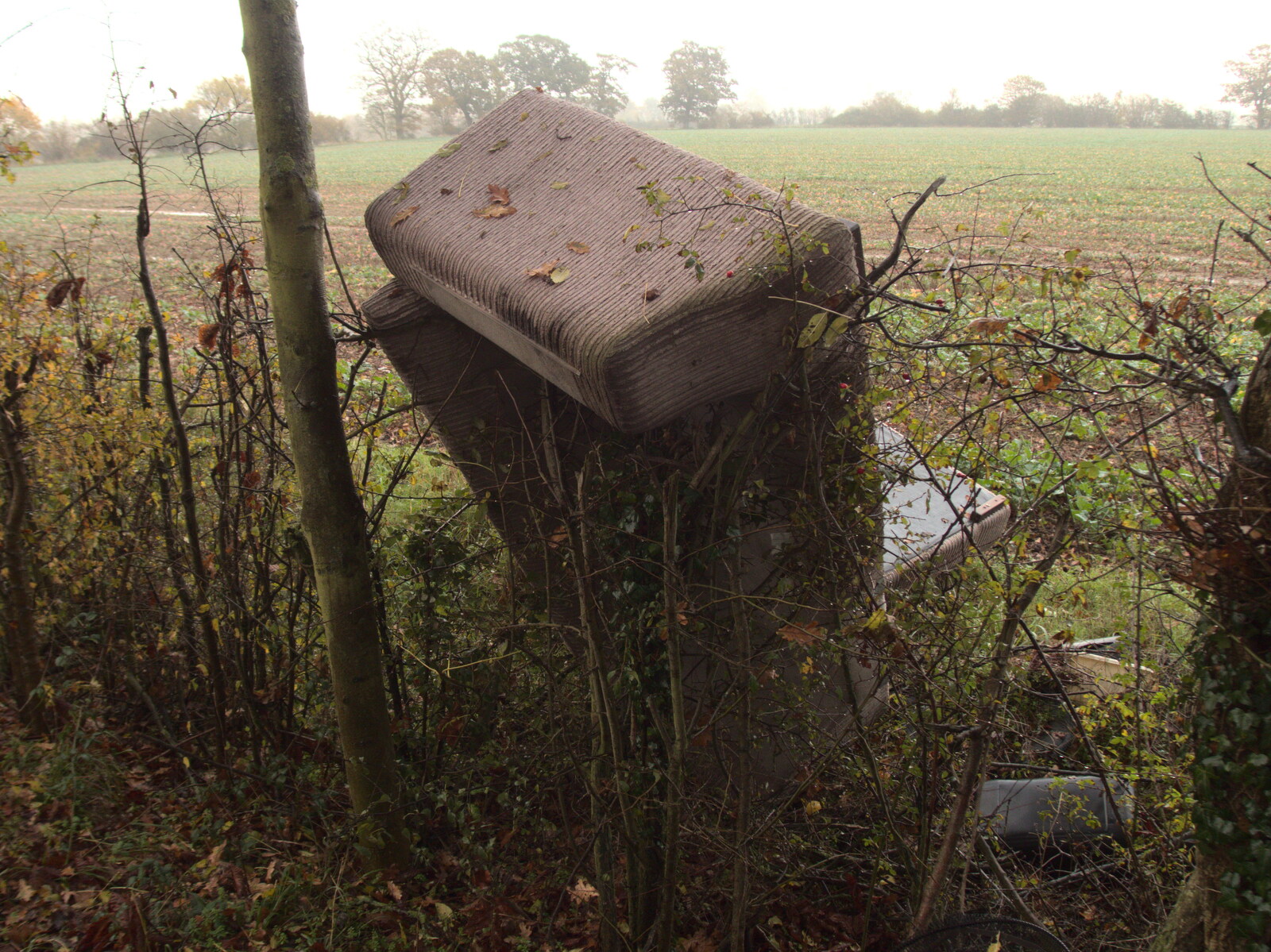 Some knobwit has dumped a sofa in the hedge from Pre-Lockdown in Station 119, Eye, Suffolk - 4th November 2020