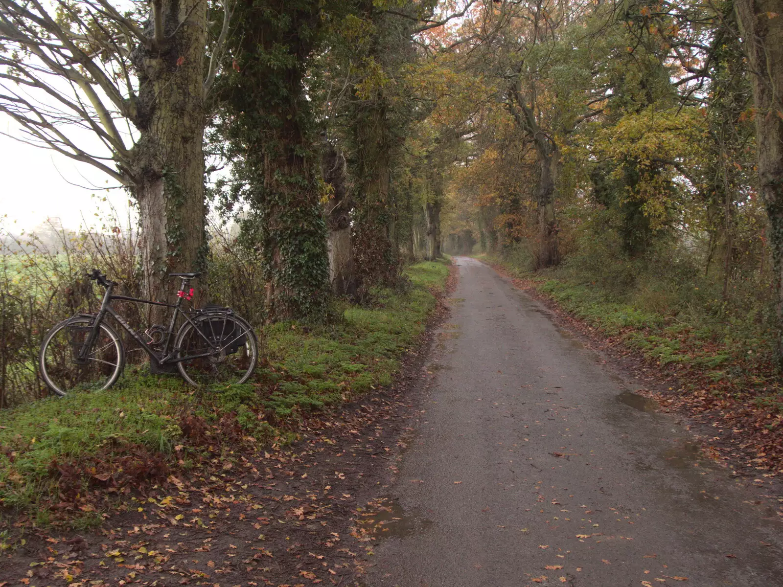 Nosher's bike leans against a tree, from Pre-Lockdown in Station 119, Eye, Suffolk - 4th November 2020