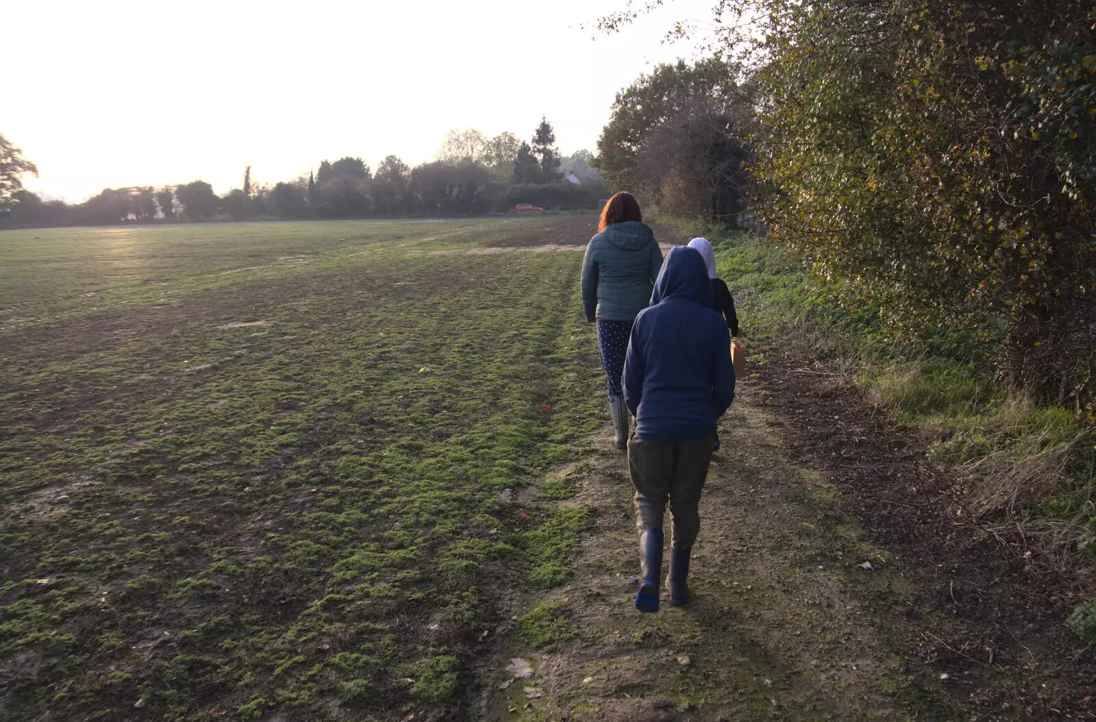 Walking around the side field, from To See the Hairy Pigs, Thrandeston, Suffolk - 7th November 2020