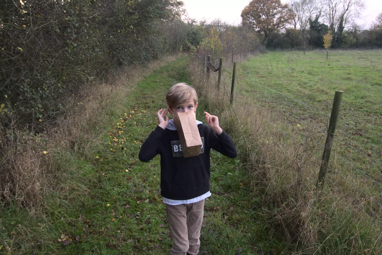 Harry's got some sort of nose bag, from To See the Hairy Pigs, Thrandeston, Suffolk - 7th November 2020