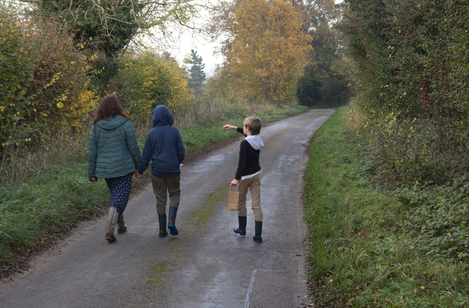 The gang on the road back to Brome from To See the Hairy Pigs, Thrandeston, Suffolk - 7th November 2020