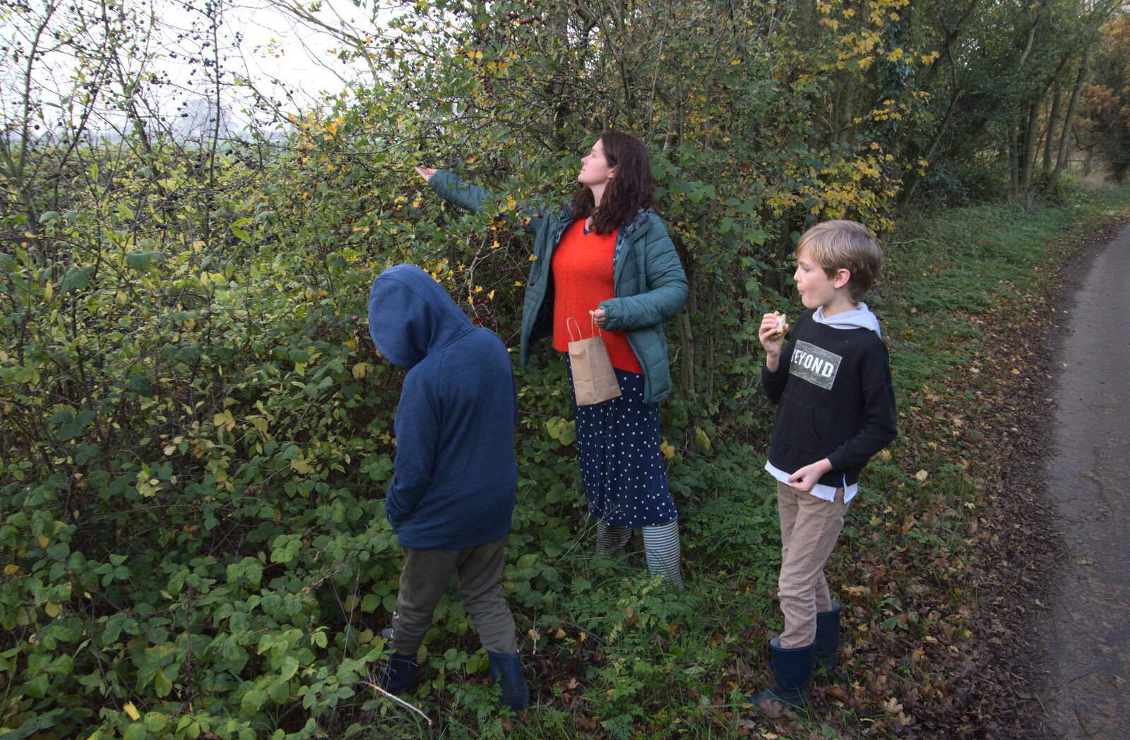 We stop to pick some sloes from To See the Hairy Pigs, Thrandeston, Suffolk - 7th November 2020