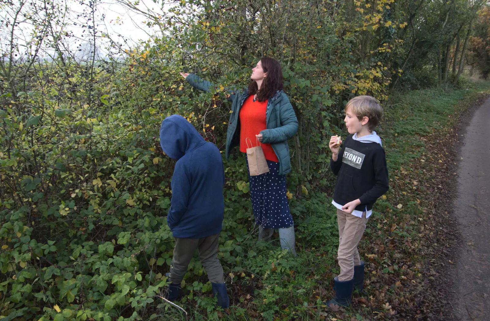 We stop to pick some sloes, from To See the Hairy Pigs, Thrandeston, Suffolk - 7th November 2020