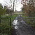 A gate and a muddy drive, To See the Hairy Pigs, Thrandeston, Suffolk - 7th November 2020