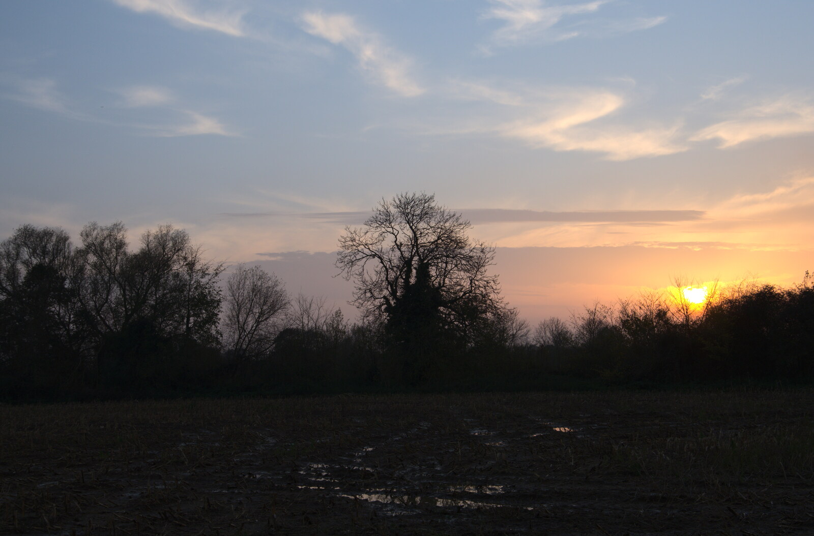 Sunset over the fields from To See the Hairy Pigs, Thrandeston, Suffolk - 7th November 2020