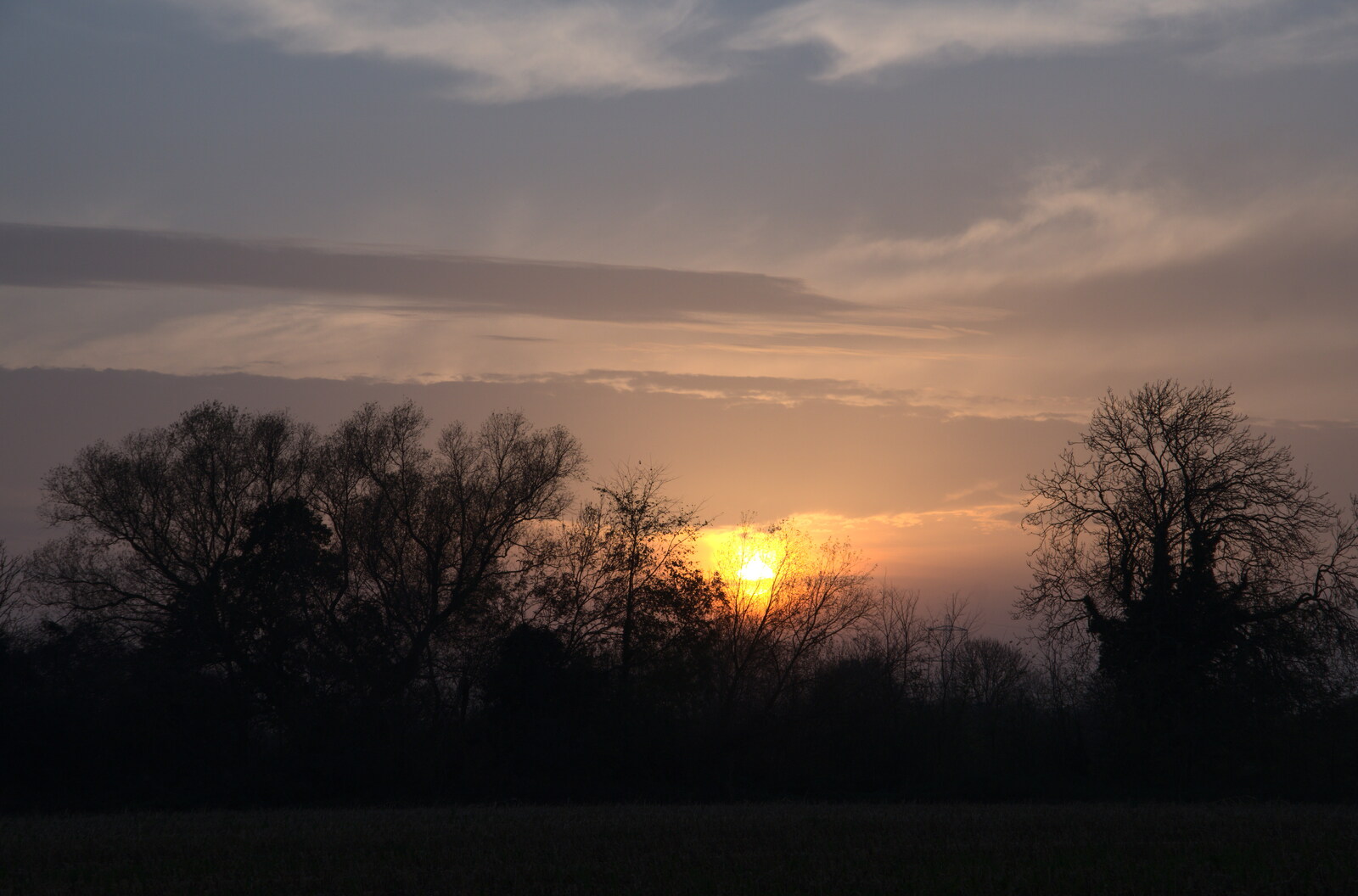 The sun sets further from To See the Hairy Pigs, Thrandeston, Suffolk - 7th November 2020